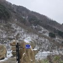 신촌지락 이미지