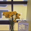 대구매호초등학교 이미지