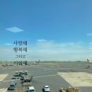 [블챌] 주간일기 광주 근교 수국 + 나주 워터파크 즐기기