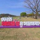 해미시장 | [서산] 서산 해미읍성 충남 서산 가볼만한곳 미스터션샤인 촬영지 한국관광 100선