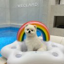 위클라드 자쿠지 펜션 이미지