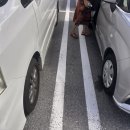 입장-08 | 🇯🇵 일본 여행 오키나와편 EP.08 | 오키나와 갈만한...후기 (주차장, 만좌모 일몰, 입장 마감 시간...