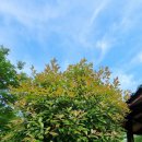 벌막공원 이미지