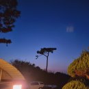 웨스트메도우 이미지