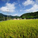 감동벼룻길 이미지