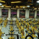 황금아쿠아 이미지