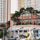 자라는소아청소년과의원 이미지