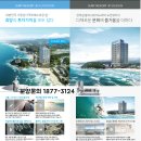 서프리조트 제이디 이미지