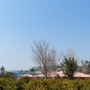 안덕버스정류장 이미지