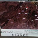 진해 시루봉 벚꽃과 진달래 산행후기