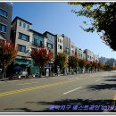 흥덕1번지공인중개사사무소 이미지