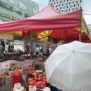 내고향 국수집 | 🥢 창원여행 마지막 아침, 창원시장 원조촌국수 솔직후기 (해장 실패 후기)