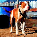 만리농장 이미지