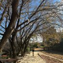 파크엘림 이미지