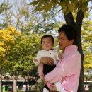 강이은 카카오 검색결과