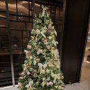 서울부페 | [맛집] 웨스틴 조선 서울 아리아 부페 후기 - 내돈내산 솔직 후기 (2025년 12월 예약 후기)