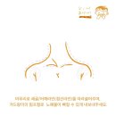 아름기획 - 진도군 | 아름기획