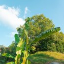 신원민박 이미지