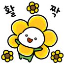 더(The)라온 이미지