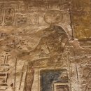 꿀꿀이왕국 | 아스완 Day2 아스완에 온 이유