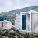 몬스터 키즈 풀 이미지