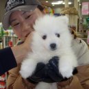 여주-0071 이미지