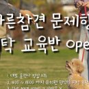 올바른 참견 이미지