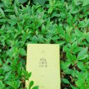 욕망의 열매 이미지