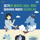 메디팜대학약국 데일리안
