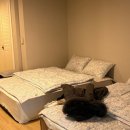 수지펜션 | 📍 소소담파티하우스 | 용인 고기리 단체숙소 내돈내산 후기 (서울근교 단체펜션 파티룸 워크샵 추천)