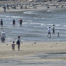 서해바다 이미지