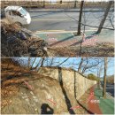 철강공단충전소 삼거리-한국산업 | 창원 뒷동산(113.8m)~부엉산(60.9m)~두대산(78.9m)