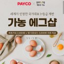 에그2000 이미지