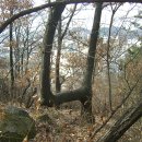 상수리공원 이미지