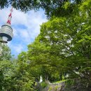 이마트24 남산소월길점 | 손목닥터 9988 남산 걷기 &amp; 기부 챌린지 B코스 참여 일기