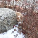 배박사 동물병원 이미지