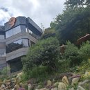 담양솔마루 | [광주 동구] 빈드럭스