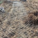 철선농장 이미지