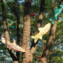 황금비늘 테마거리 이미지