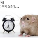 세대ITS | [성수역] 잇츠치즈타임 성수 ❘ 200일 기념 커플 촬영