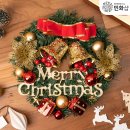 솔가지목장 | [백두대간 강원도 대관령] 야 진짜 피곤하지않냐 오늘? 대박이다 정말