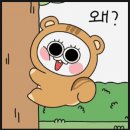 이모티콘제작 이미지