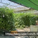 보운농장 이미지