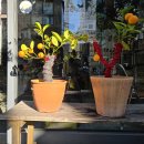 25/12/11 공존의 아름다움 - 장영식(라파엘로) 사진작가 이미지