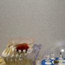 따뜻안치과의원 이미지