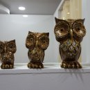 바른손지압안마원 이미지