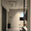 스테이바누 이미지