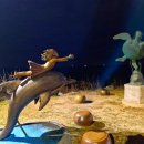 해안로1 이미지