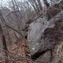 밤나무골 이미지