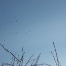 보림농장 이미지